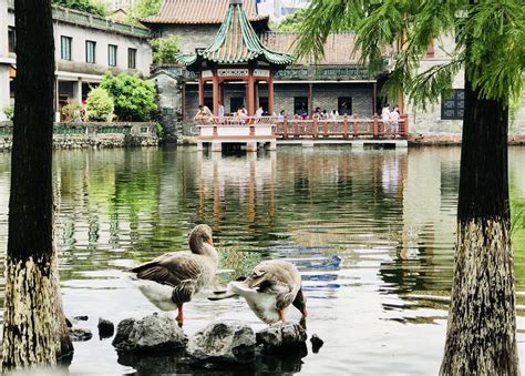  Der Keyuan Garten! Ein Paradies für die Sinne in Dongguan.